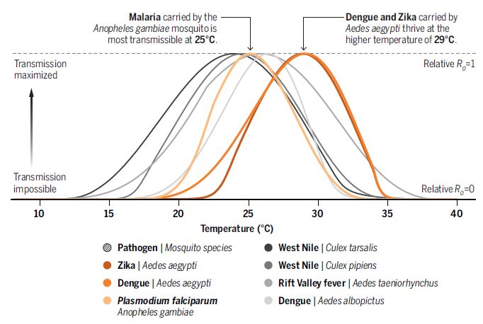 The Complex Relationship Between Climate Change and Infectious Diseases