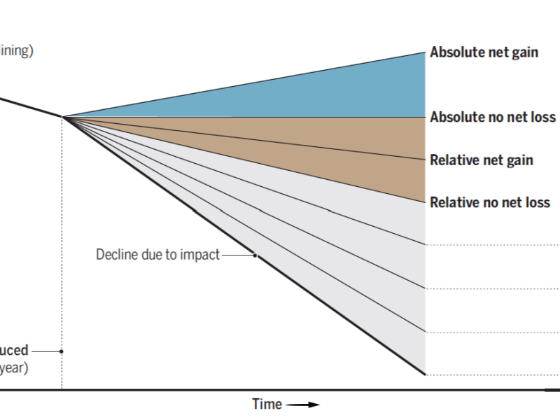 Achieving “Nature Positive” through Net Gain Legislation and Value Water at&nbsp;COP16