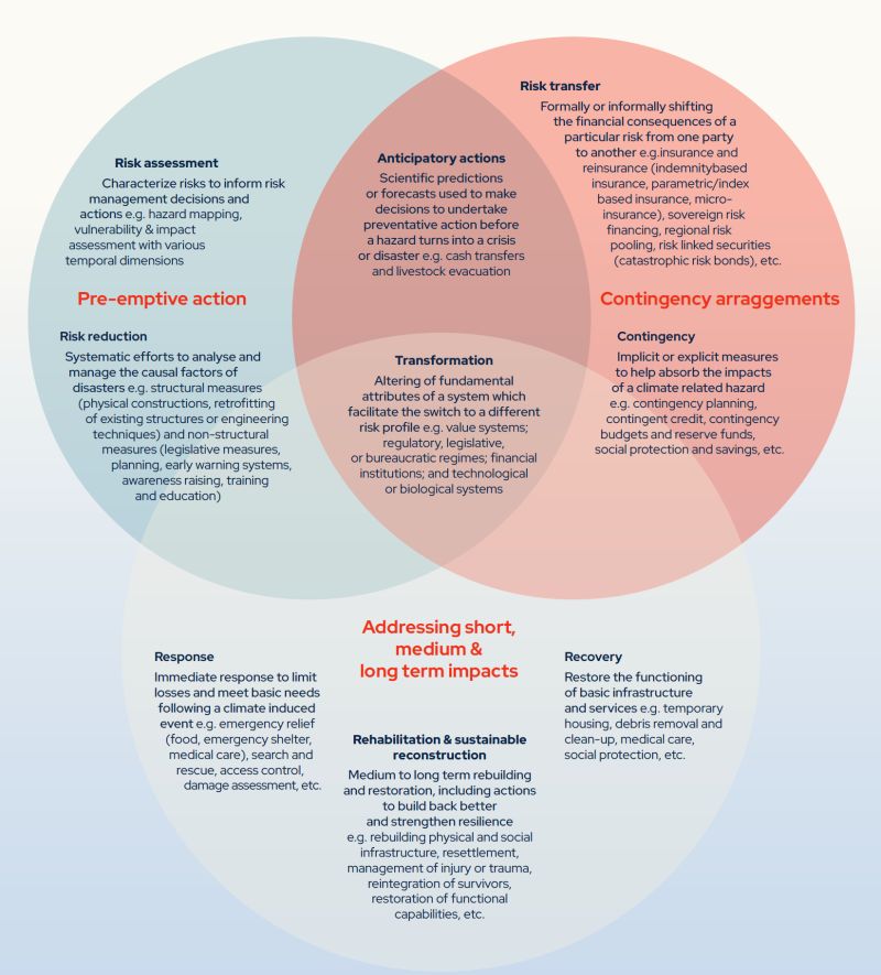 Bridging Resilience and Recovery for Climate Loss and&nbsp;Damage