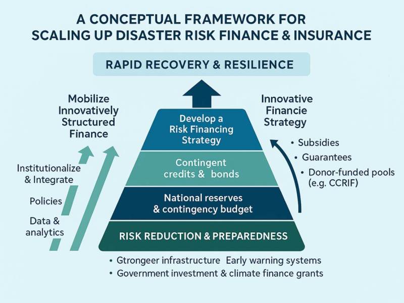 Empowering a resilient future through innovative climate&nbsp;financing